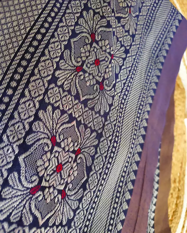 Khadi Tissue Handloom Saree with Thread Woven Border - Blue with Red