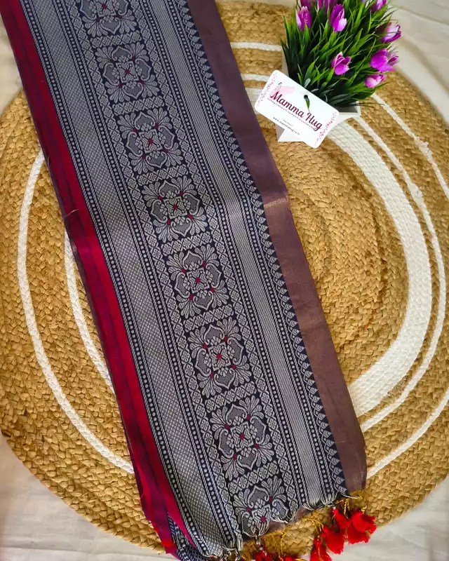 Khadi Tissue Handloom Saree with Thread Woven Border - Blue with Red