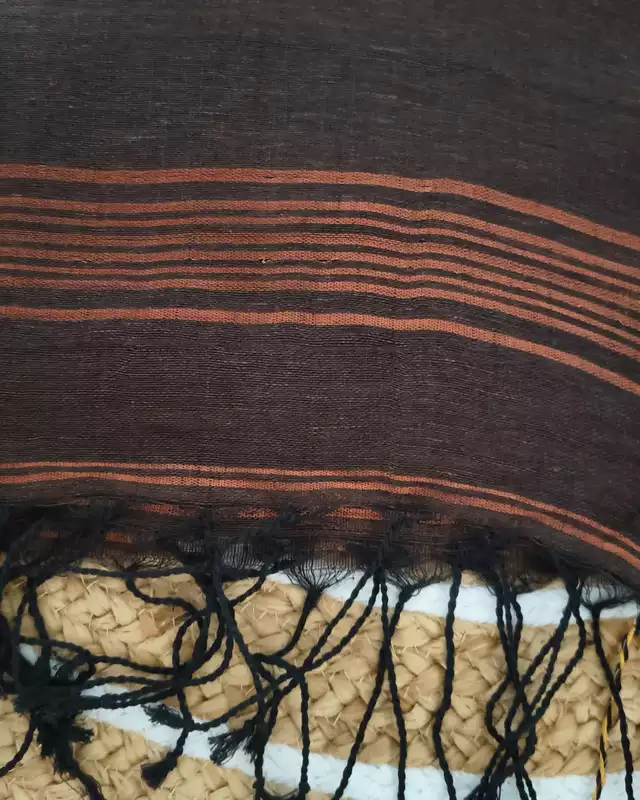 Linen By Linen Handloom Saree - Brown