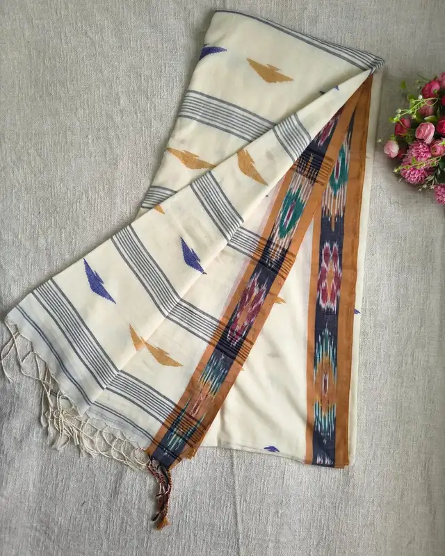 Pure Cotton Handloom Saree - Ikkat - Beige